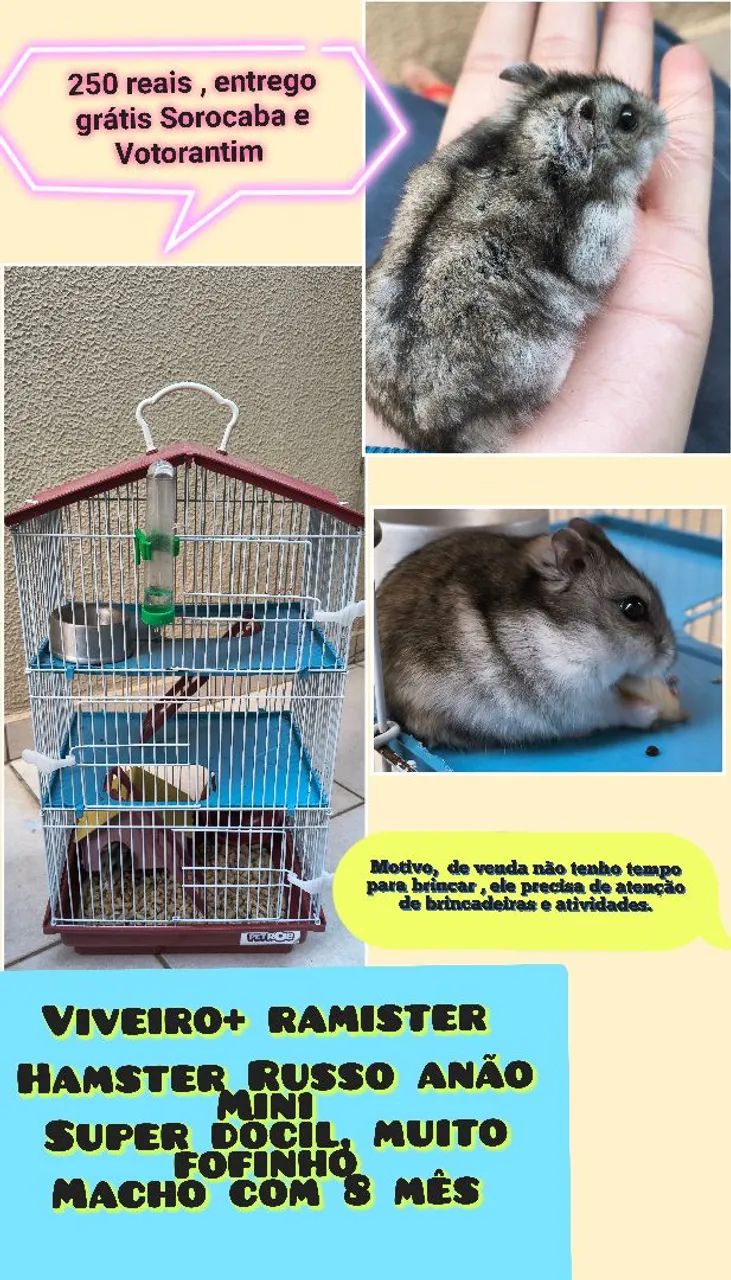 Gaiola ramister 