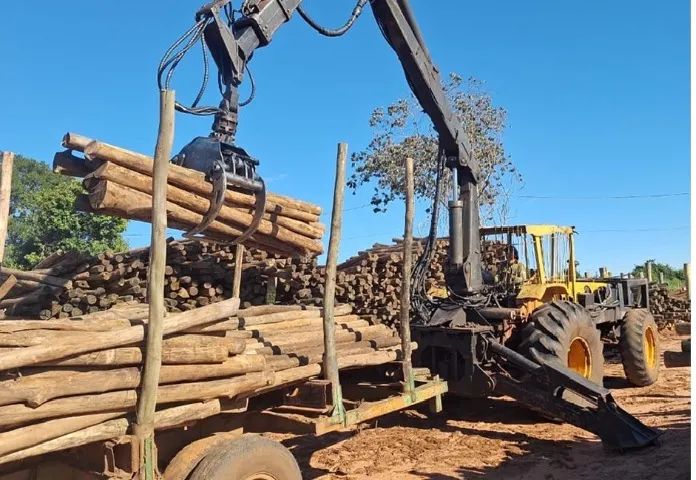trator com grua florestal - Foto 2