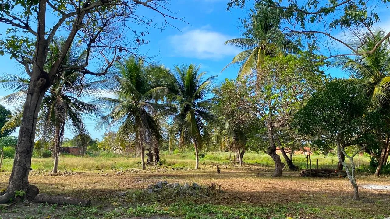 Terreno a venda 100 x 100 - Foto 3