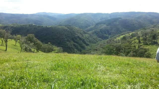 Fazenda pasto formado - Foto 2