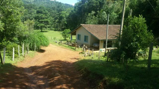 Fazenda pasto formado