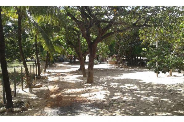 Chácara - Foto 5