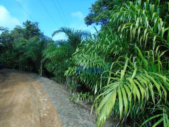 Fazenda antonina - Foto 18