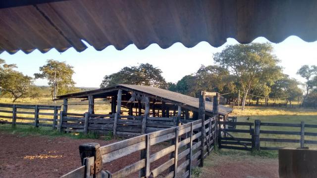 Fazenda 160 alqueires ( 774,4 hectares ) Pontal do Araguaia-MT \ Barra do Garça