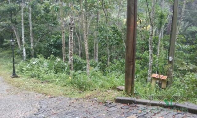 Terreno à venda em Quarteirão ingelhein, Petrópolis cod:1612 - Foto 7