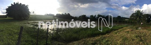 Sítio à venda em Jauá, Camaçari cod:776377 - Foto 16