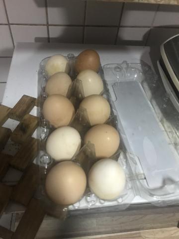 Ovos caipiras legítimo! - Foto 3