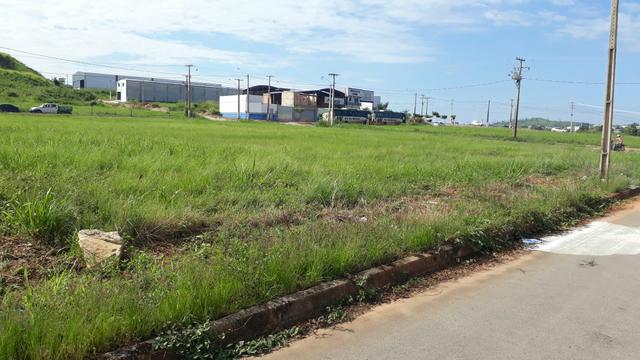 Lote