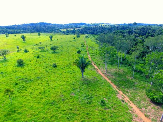 Terra bonita em machadinho d oeste - Foto 3