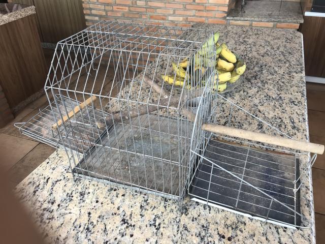 Gaiola para Calopsita, Maritaca, Periquito ou Papagaio - Foto 2