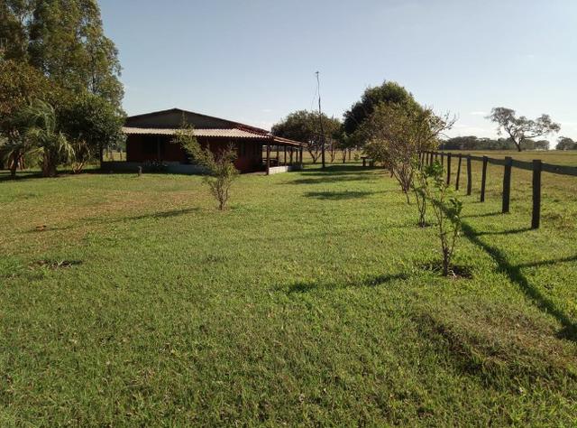 Fazenda - Foto 10