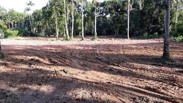 Terreno em Morretes ótimo para chácara - Foto 6