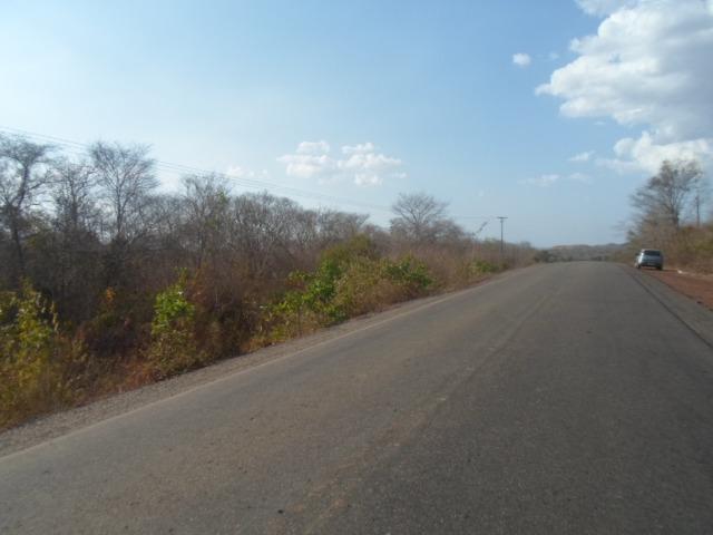 Terreno na BR-PI 214 Luzilândia/Esperantina - Foto 2
