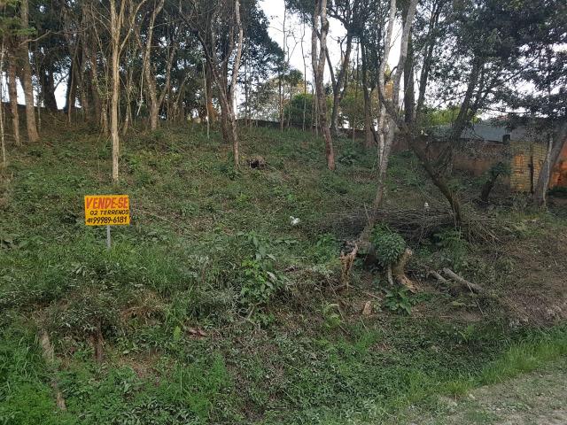 Terrenos no Borda do Campo - São José dos Pinhais