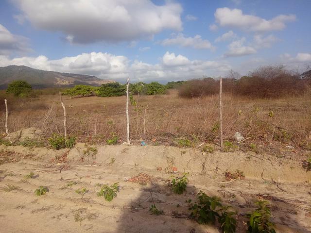 Terreno - Foto 3