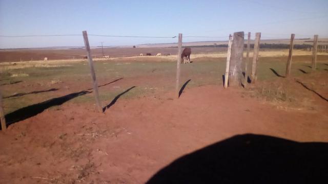 Fazenda Amanbai MS - Foto 2