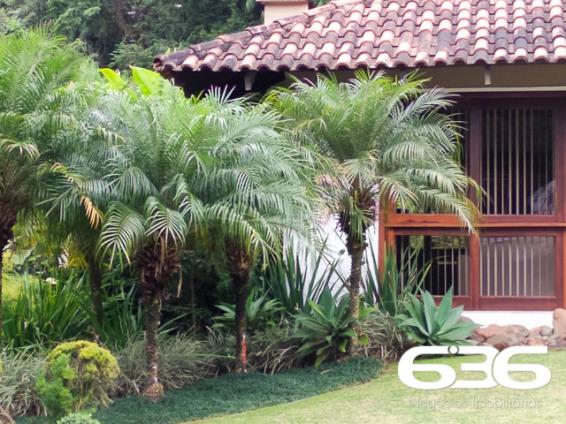 Casa | Joinville | Saguaçu | Quartos: 4 - Foto 3