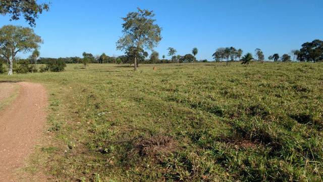 Fazenda - Foto 4