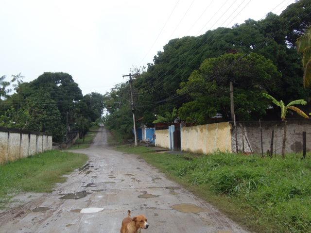 (Fator 1175) Belíssimo Lote aqui Estrada Cajueiros Itaipuaçu É Na Fator - Foto 2