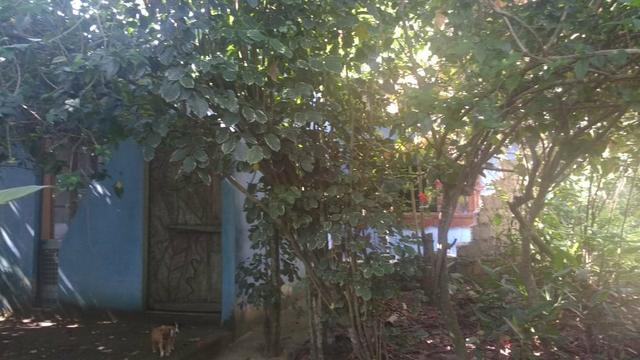 G Cód 275 Maravilhoso Sitio em Búzios!! - Foto 6