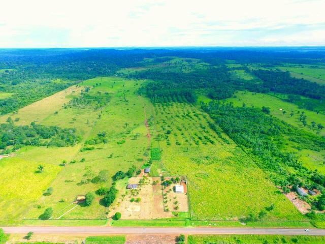 Terra bonita em machadinho d oeste - Foto 5