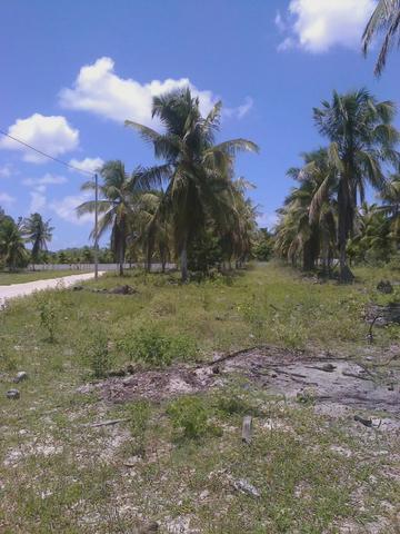 Vendo terreno (1000m²) no Parque Santa Ismênia - Macaíba. - Foto 2