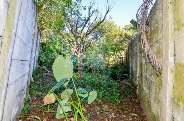 Terreno à venda em Sao lourenco, Curitiba cod:143184 - Foto 11