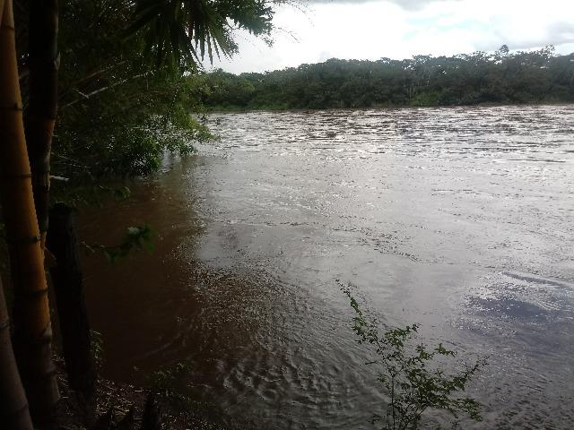 Vendo Chácara - Entre Guia e Acorizal - Rio Cuiabá - Foto 7