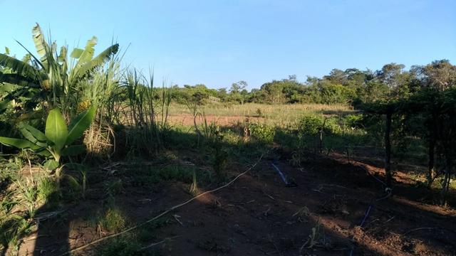 Sitio curvelo - Foto 4