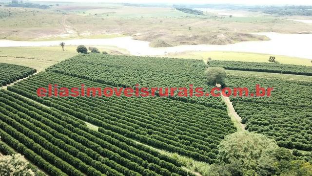Fazenda de café - 110.000 pés - Patrocínio - MG - Foto 11