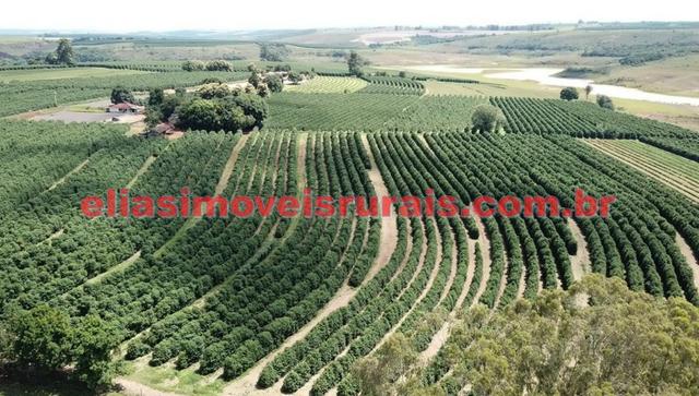 Fazenda de café - 110.000 pés - Patrocínio - MG - Foto 12