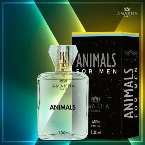 Animals amakha paris