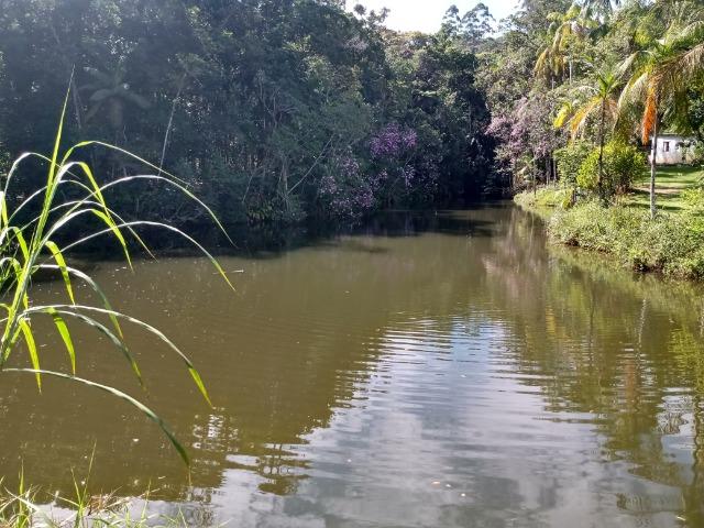 Sitio com 20.000 m²,bela casa,imenso lago e espaço para criações - Foto 5