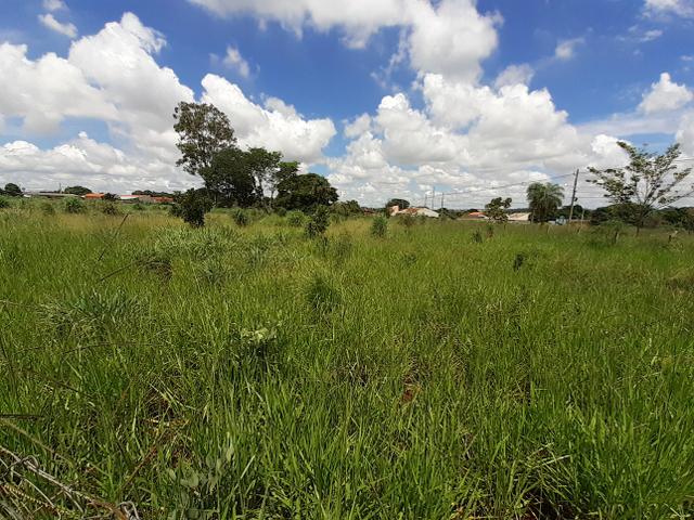 Vendo área na Chácara São Pedro com 9.036,00 m2 - Foto 4
