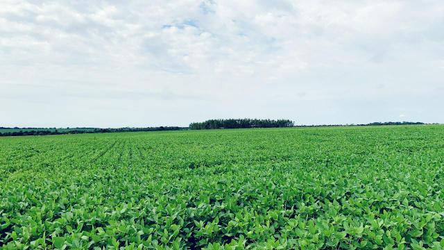 Excelente fazenda - Foto 5