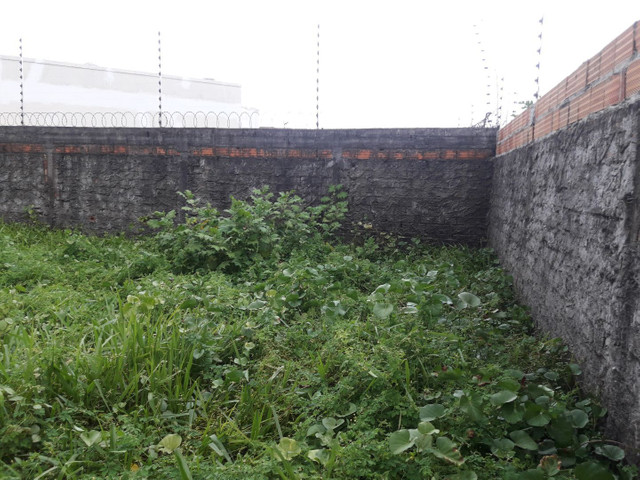 Terreno 12 por 48 murado - Foto 4