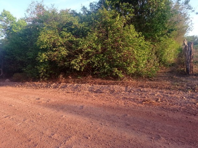 TERRENO DE 15 HECTARES PRÓXIMO DE JOSÉ DE FREITAS-PI - Foto 5