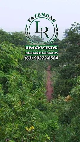 Fazenda 180 Alqueires Dupla Aptidão Tocantins - Foto 5