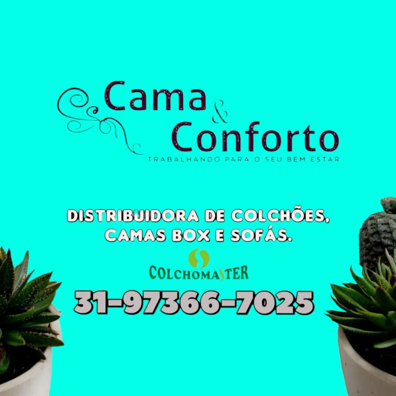 CAMA CASAL NOVAS / MACIA / MODELO 2409271135 - Foto 2