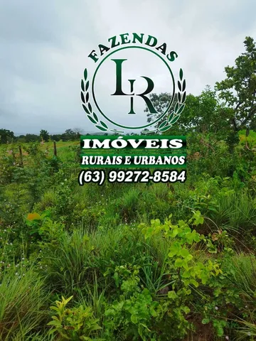 Fazenda 180 Alqueires Dupla Aptidão Tocantins