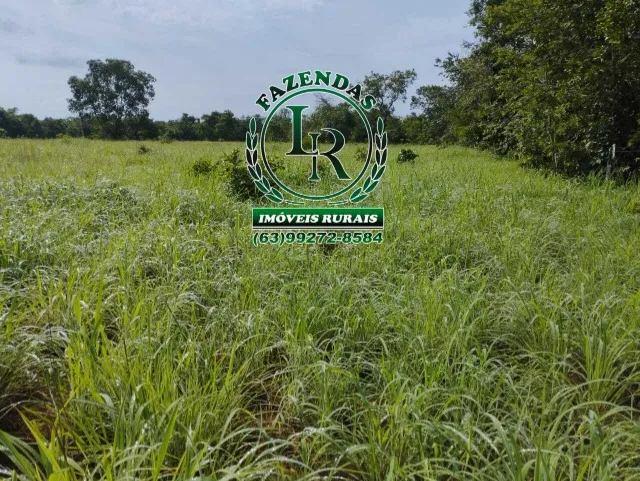 Fazenda/Chácara 23.4 Alqueires Beira Asfalto