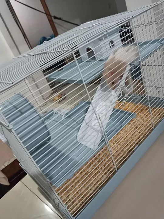 Mansão pra roedores  - Foto 3