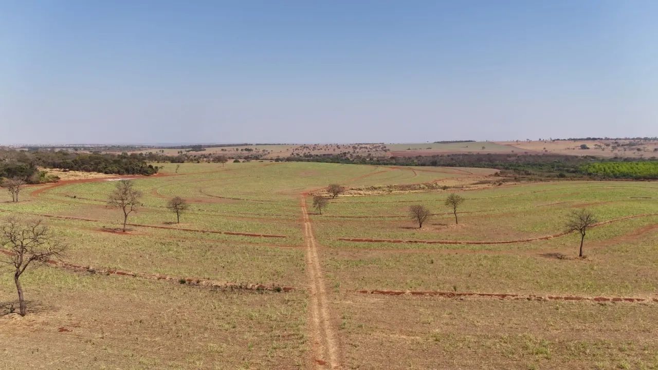 41 alqueirão - Cana / Seringueira 
