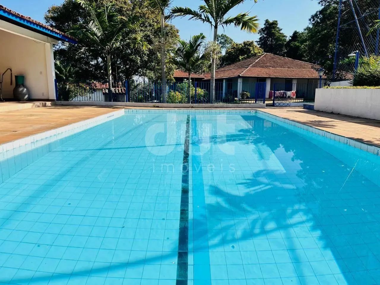 chácara - Vila Marieta - Campinas - Foto 4