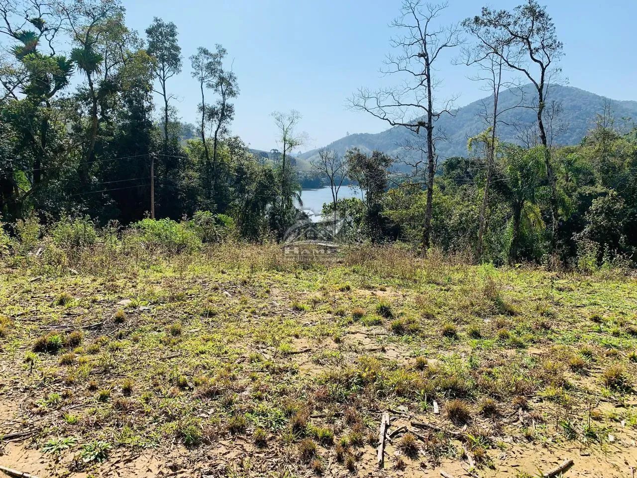 Terreno Rural para Venda em Angelina, BARRAGEM - Foto 5