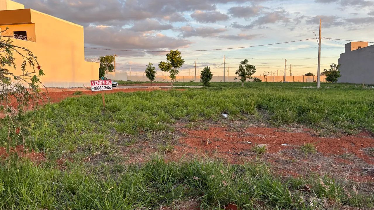 Foto - Uberlândia - Martins