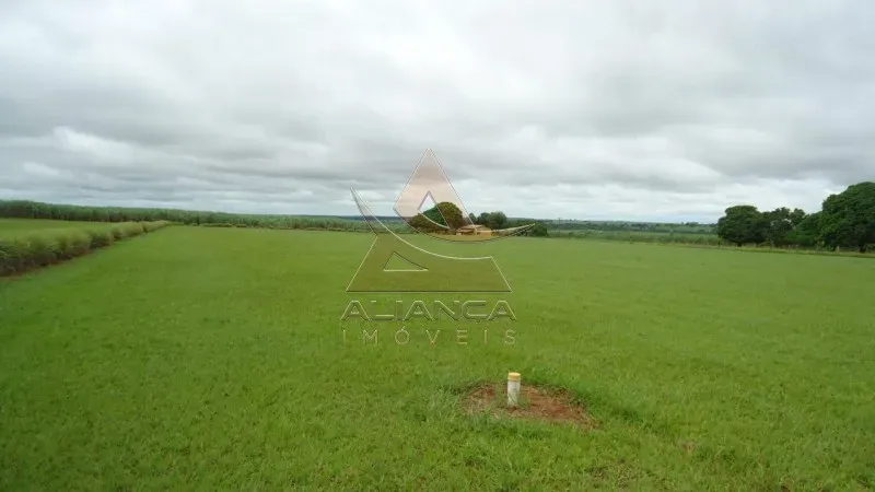 Fazenda - Rancharia - Zona Rural