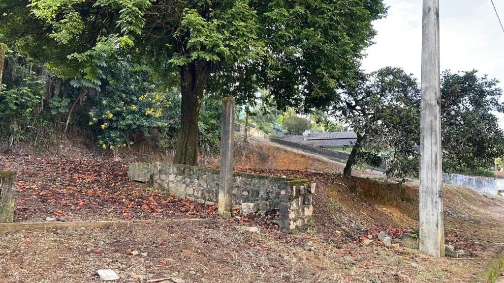 TERRENO no COSTA E SILVA com 0 quartos para VENDA, 1056 m² - Foto 3