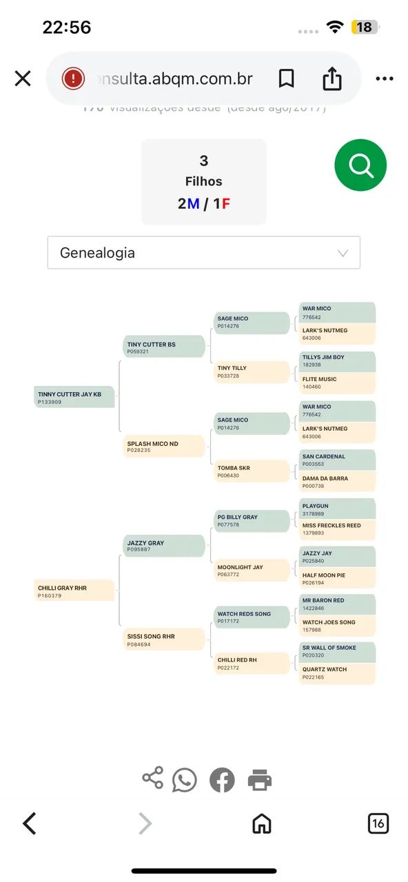 Eggs quarto de milha PO registrada  - Foto 2