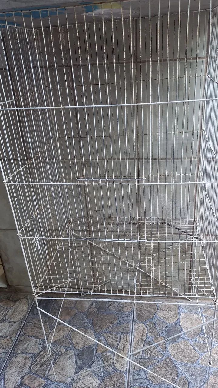 Viveiro para pássaros - Foto 4